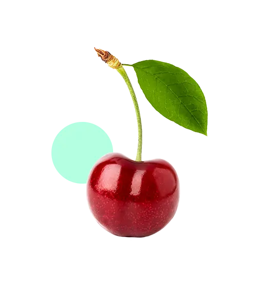 Marketing Automation